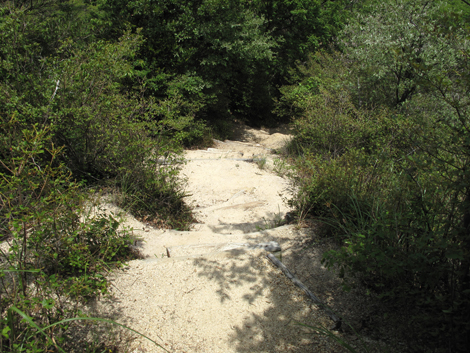 20140602hike (73)